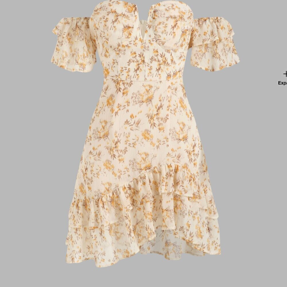Cider Floral Corset Ruffle Hem dress